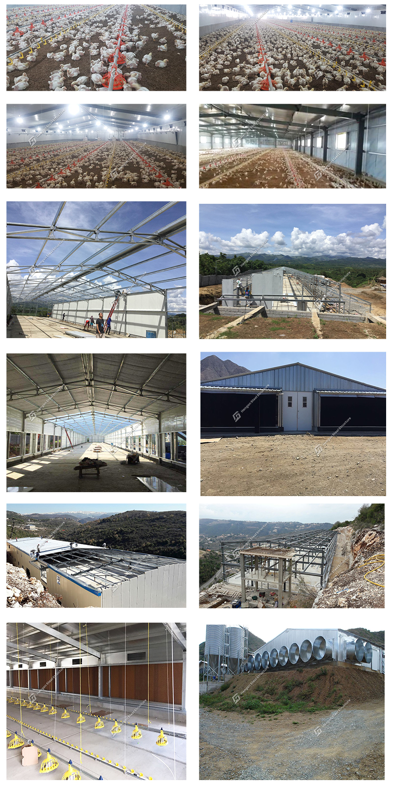 Poultry House Poultry House