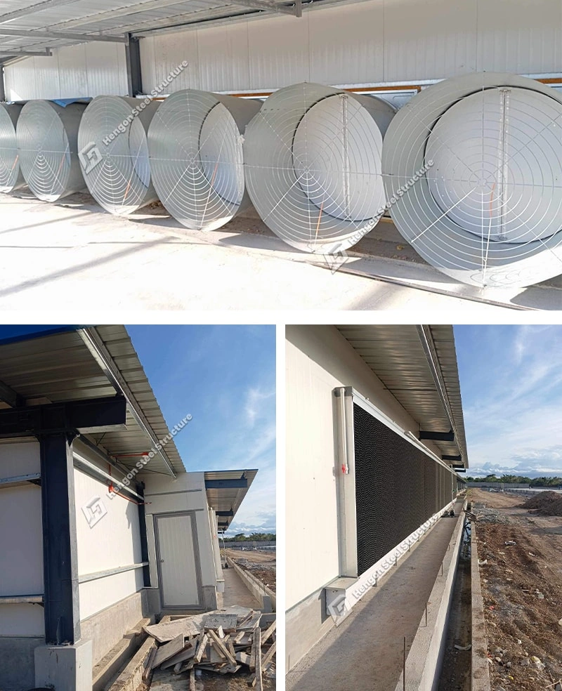 Philippines poultry processing plant Philippines poultry processing plant