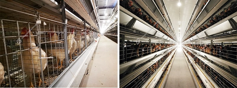 Unit Section Unit Section