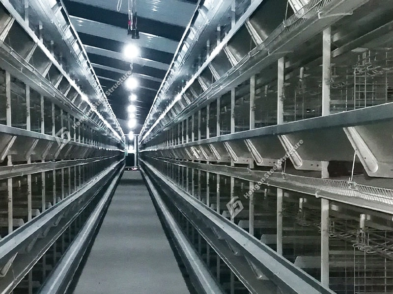 Feeding System Feeding System