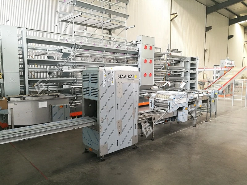 EGG FARM LOADING MACHINE EGG FARM LOADING MACHINE