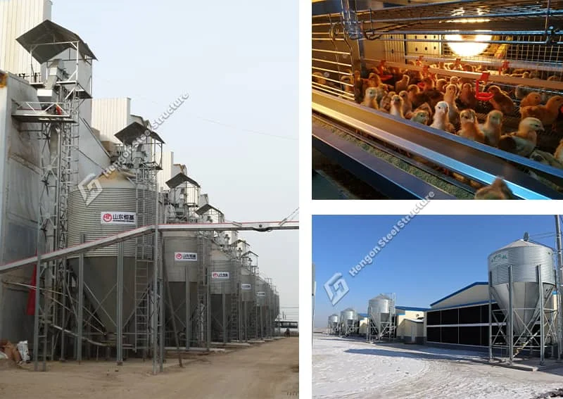 Feeding System Feeding System