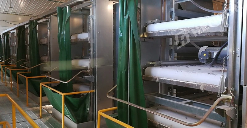 HENGON Shines at Livestock Philippines 2025: Exhibition Highlights & Client Visits HENGON Shines at Livestock Philippines 2025: Exhibition Highlights & Client Visits