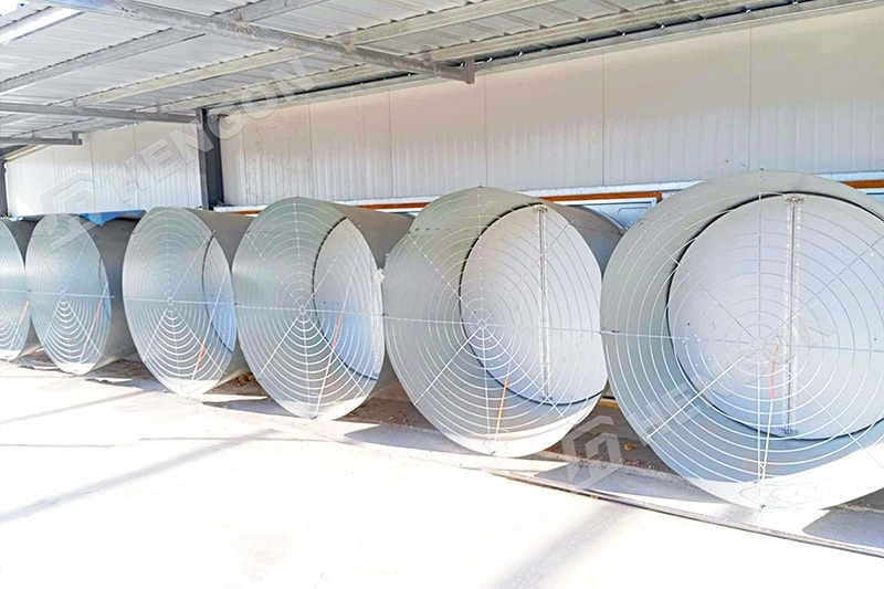 Philippines - Broiler on ground